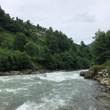 Afara Bungalows Otel & Cafe Rize Luaran gambar