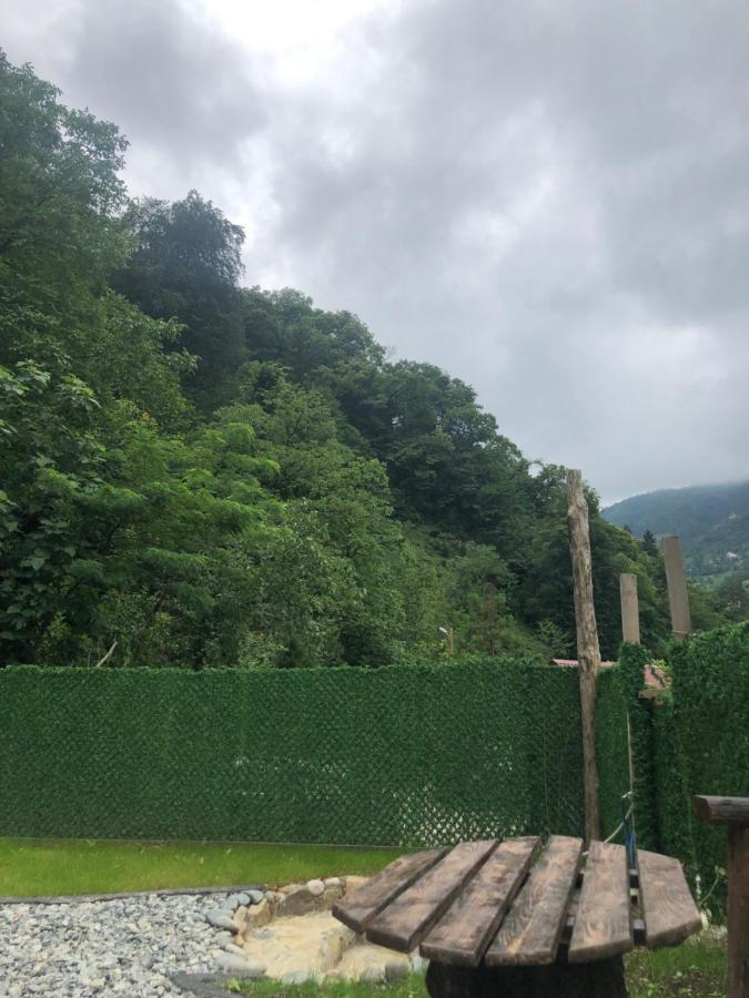 Afara Bungalows Otel & Cafe Rize Luaran gambar