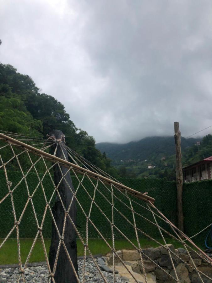 Afara Bungalows Otel & Cafe Rize Luaran gambar