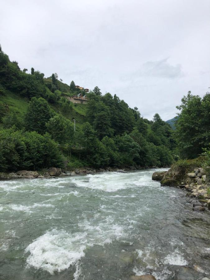 Afara Bungalows Otel & Cafe Rize Luaran gambar