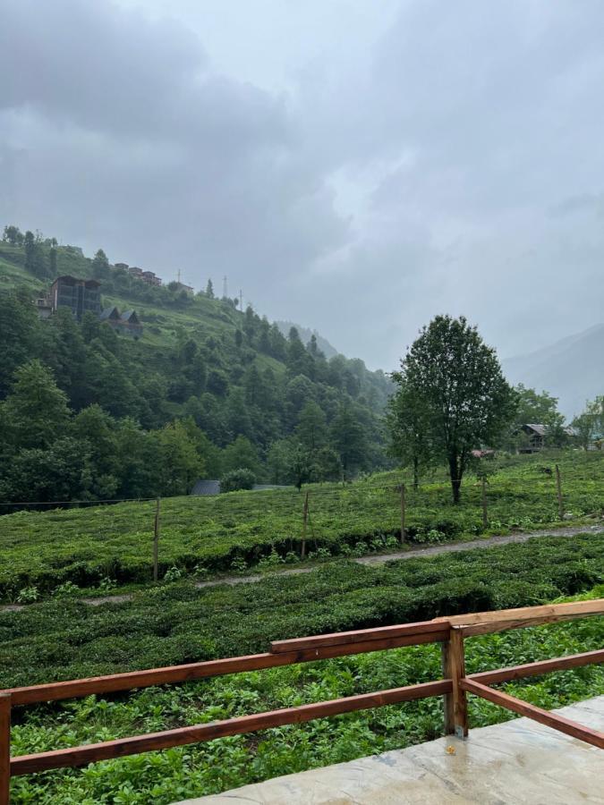 Afara Bungalows Otel & Cafe Rize Luaran gambar